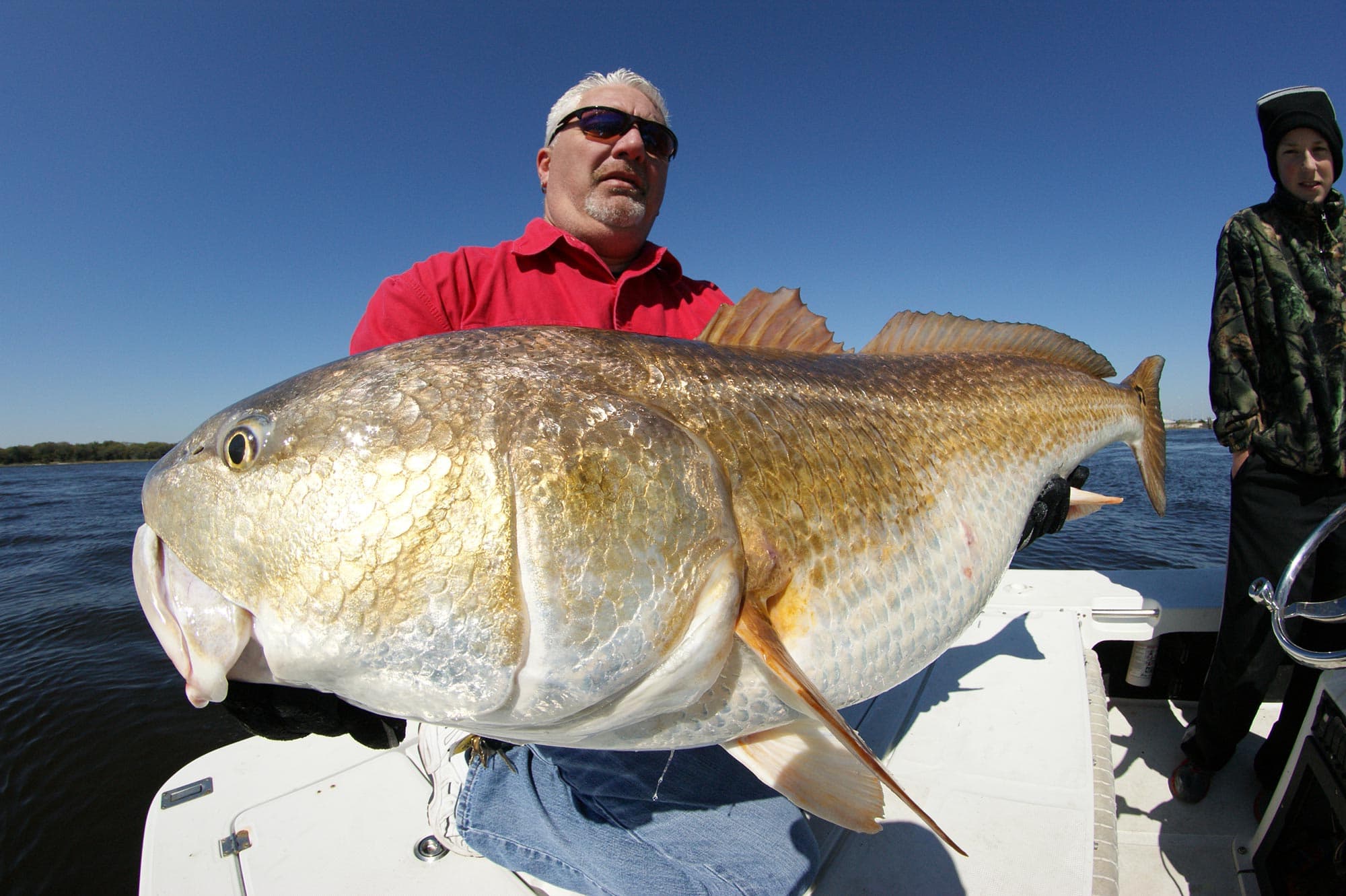 Bull Red Fish