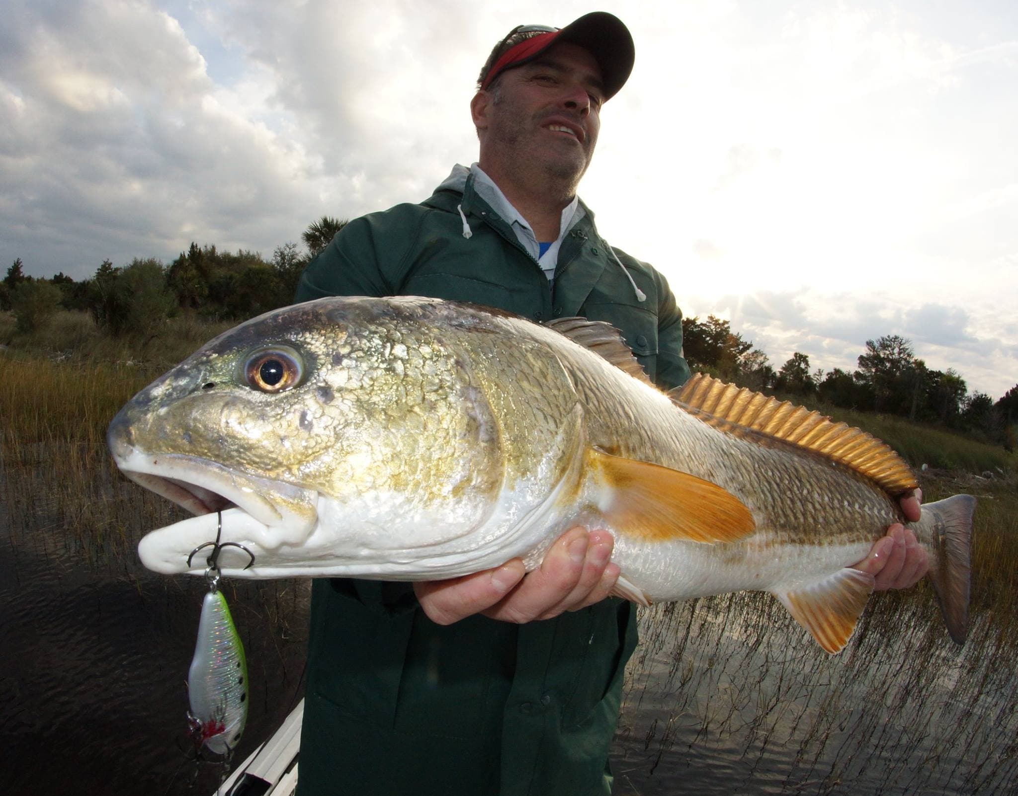Bull Red Caught with Paul Van Reenen Lure